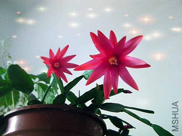 DSCF0649_����.jpg