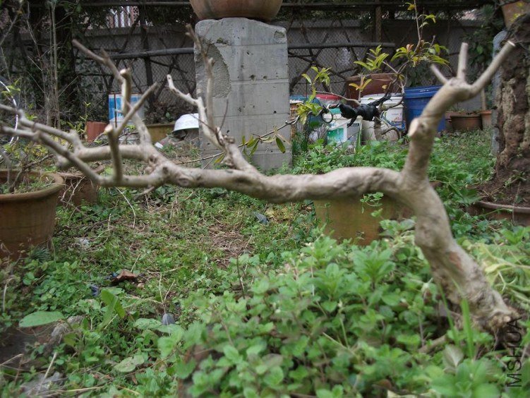 DSCF1369.JPG