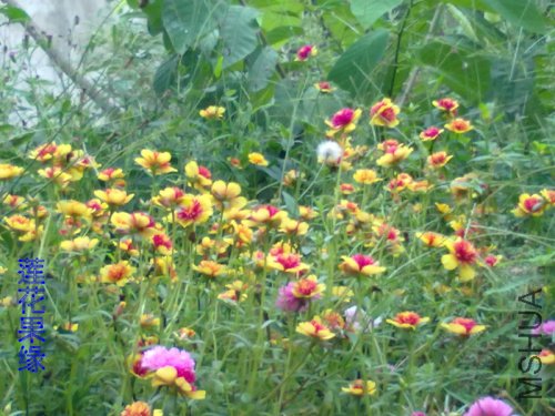 20110902579.jpg