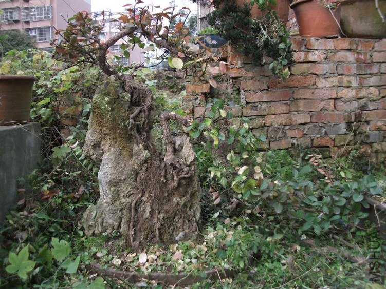 DSCF1397.JPG