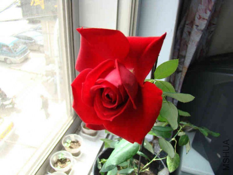 DSC04690.JPG