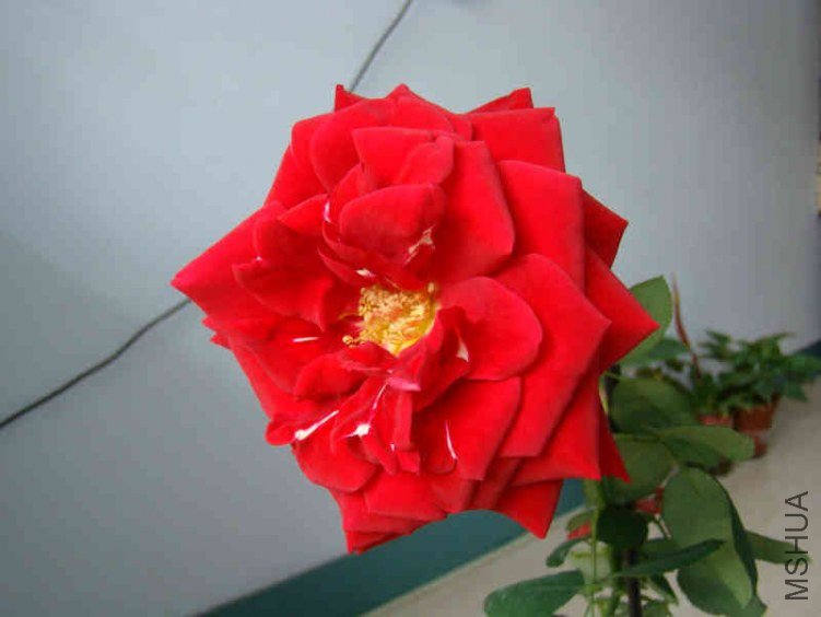 DSC04712.JPG