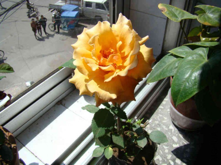 DSC04648.JPG