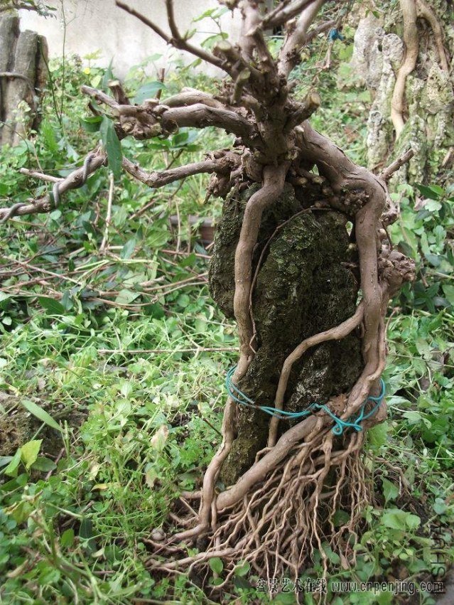 1723142rqhwqkrkzqww3wr.jpg