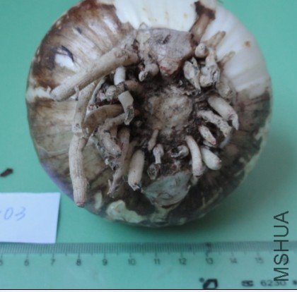 QQ��ͼ20111205102706.jpg