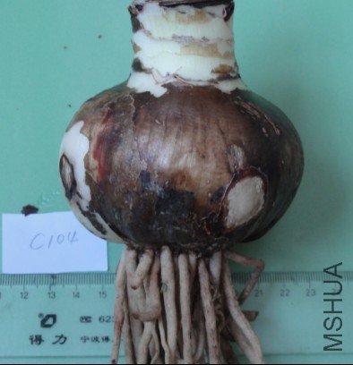 QQ��ͼ20111205102627.jpg