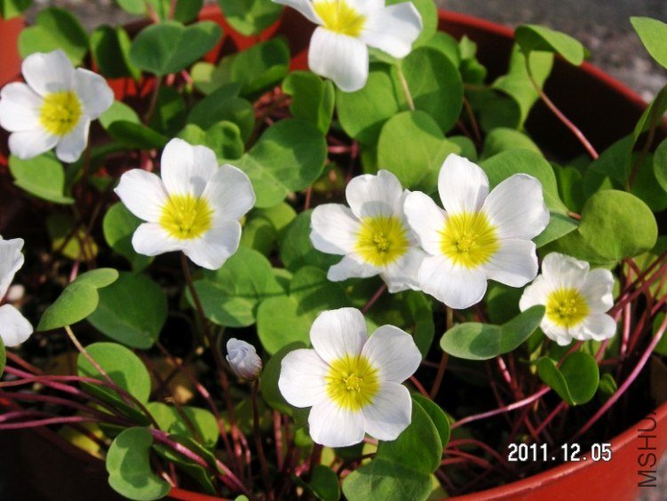 PICT0003.JPG