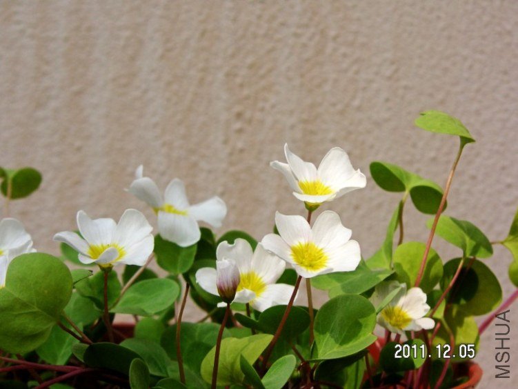 PICT0010.JPG