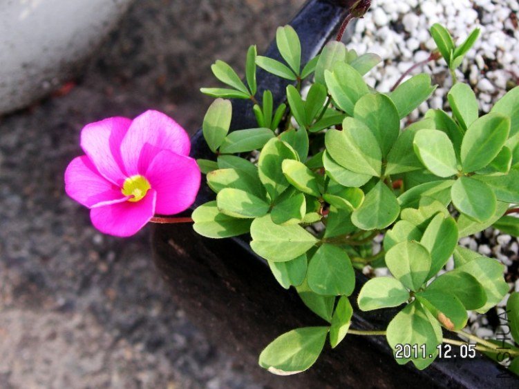 PICT0001.JPG