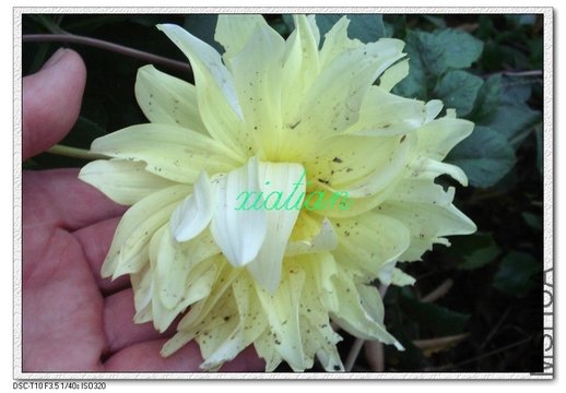 ����  �ذ국��.jpg