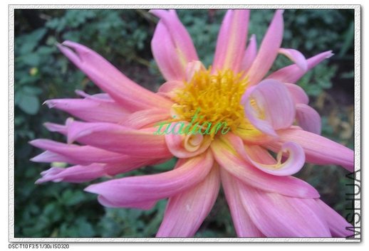 ����  �ذ��ɫ���䵥���ˣ�.jpg