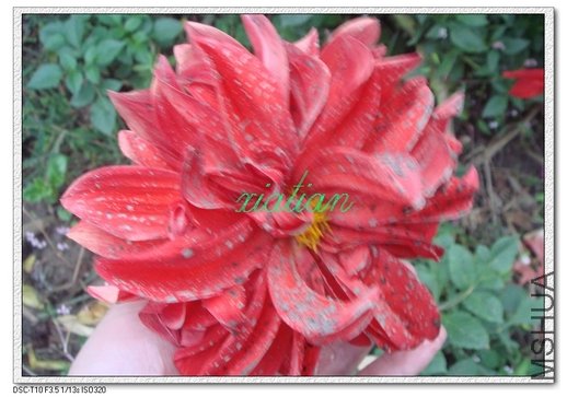 ���� ����ﻨ.jpg