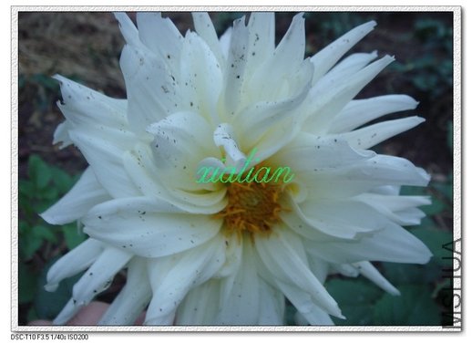 ���� �ذ��ɫ.jpg