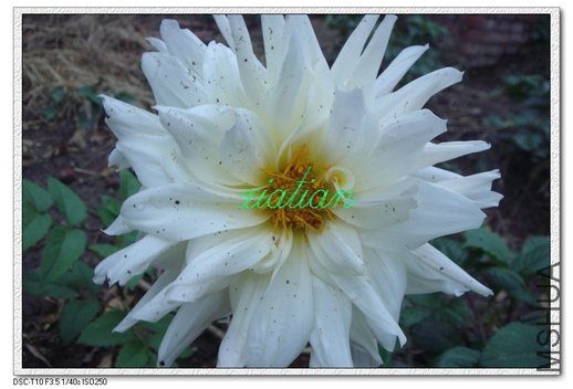 ���� �ذ��ɫ2.jpg