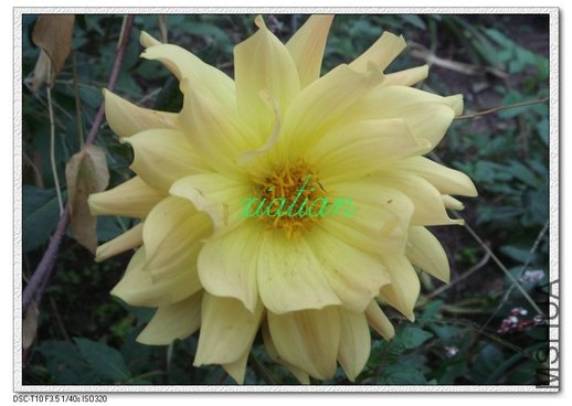 ���� �ذ��ɫ����ɫ��.jpg