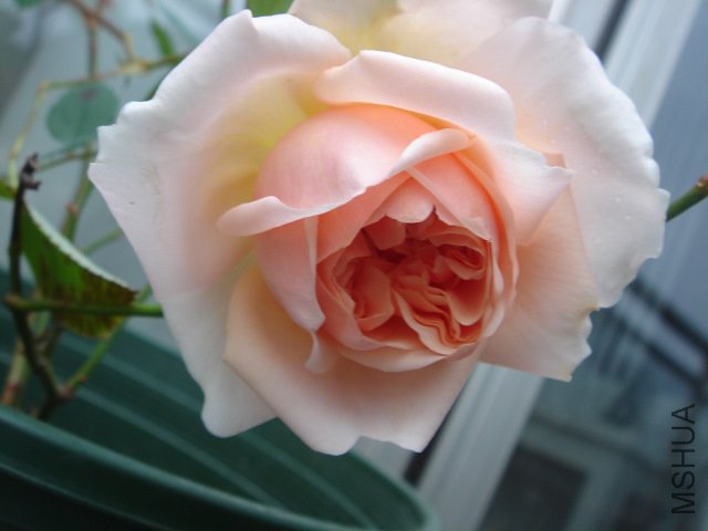 DSC03943.JPG