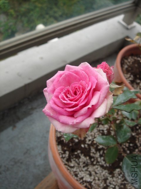 DSC03934.JPG