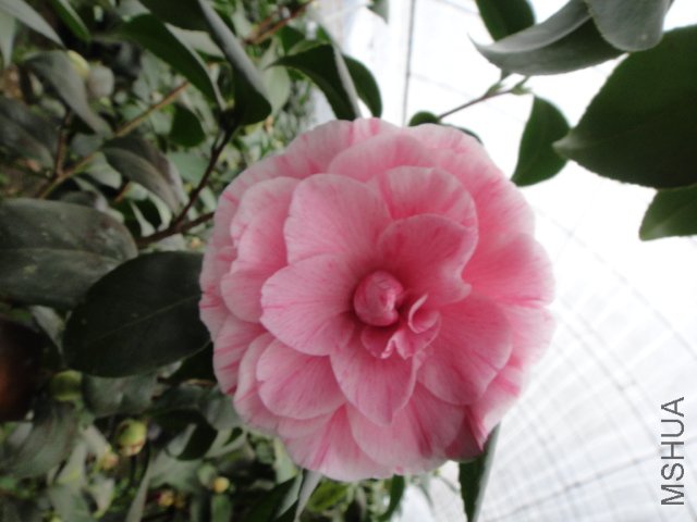 DSC01266.JPG