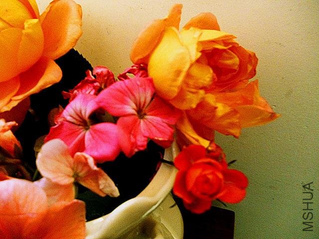 P1000224_����_����.jpg