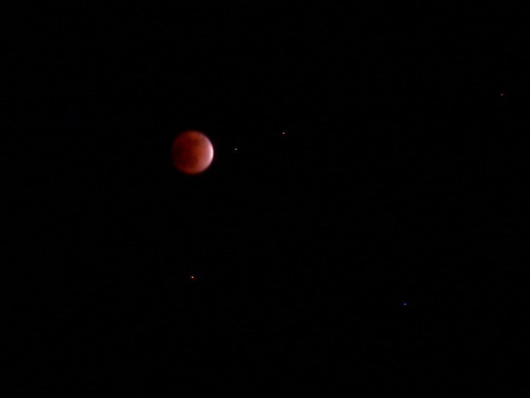 DSCN5495.jpg