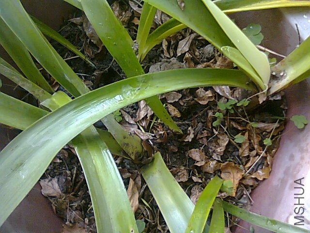 ��Ƭ0531.jpg