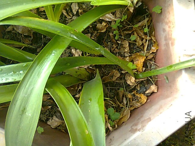��Ƭ0530.jpg
