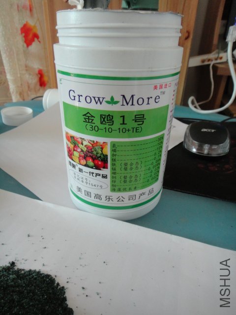 DSC01290.JPG
