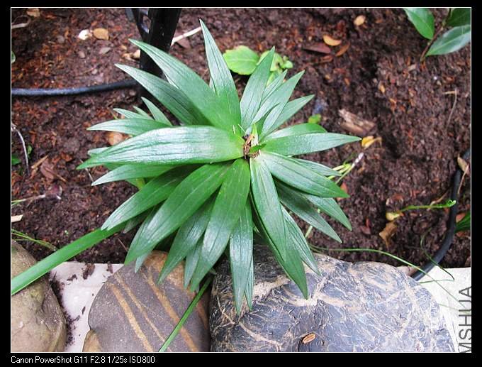 �����û�л��ٵ�