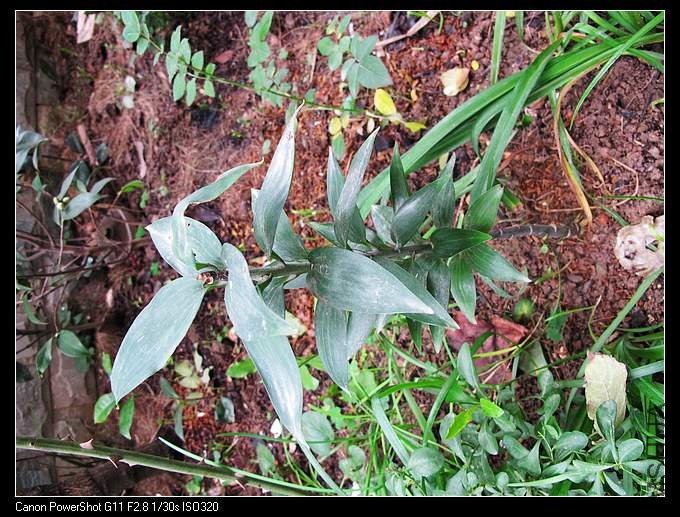 �����û�л��ٵ�