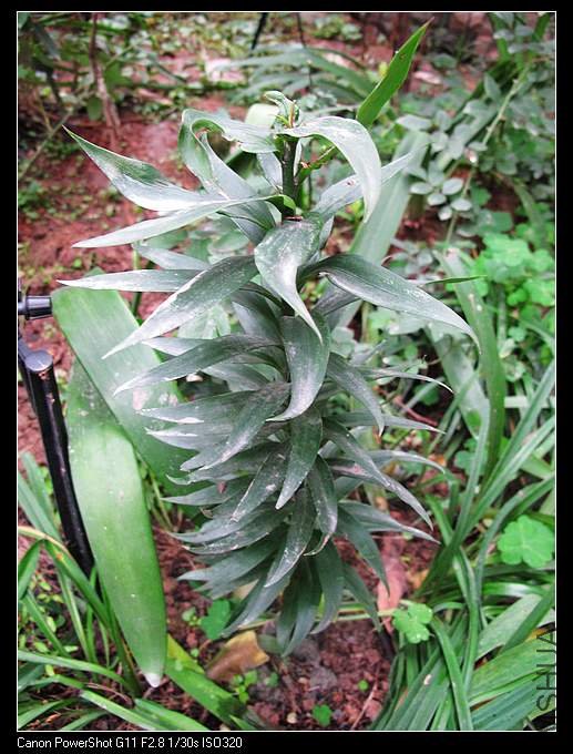 �����û�г����ٵ�