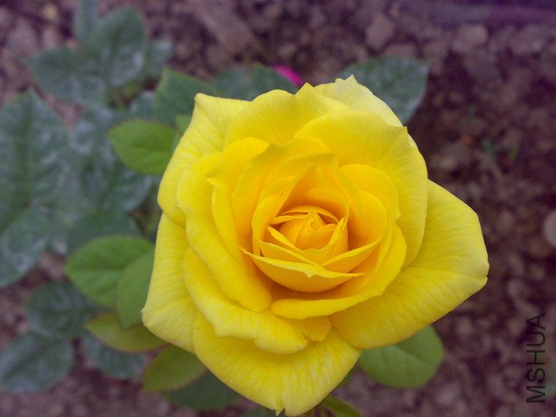 20100504173.jpg