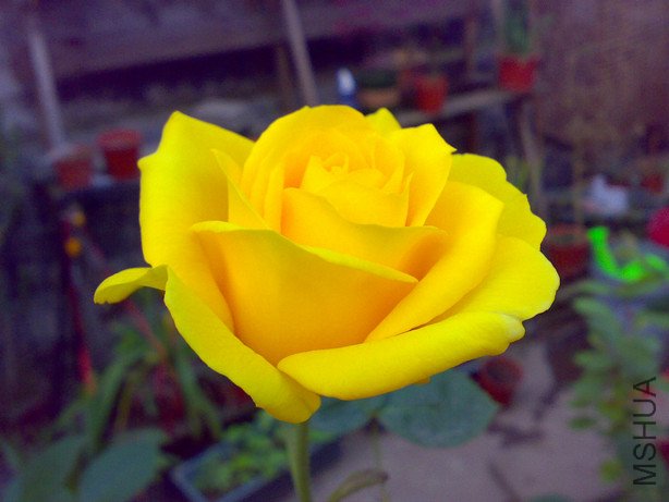 20110412754.jpg