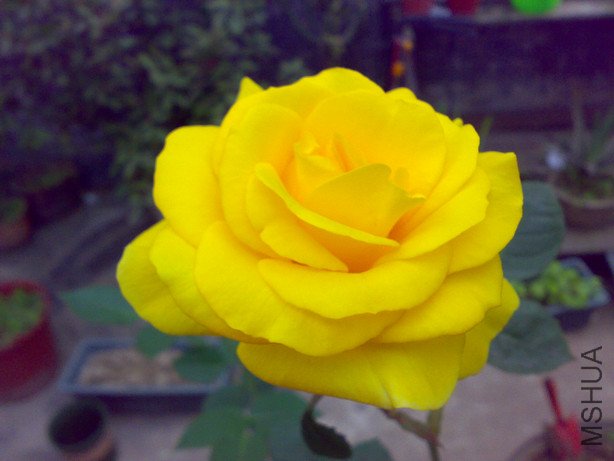 20110412757.jpg