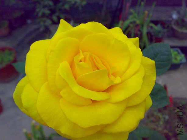 20110412758.jpg