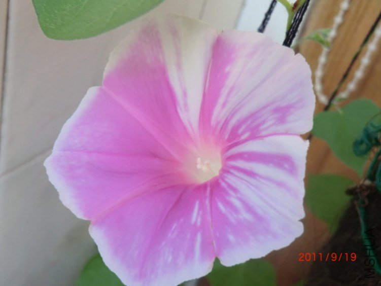 CIMG0389.JPG