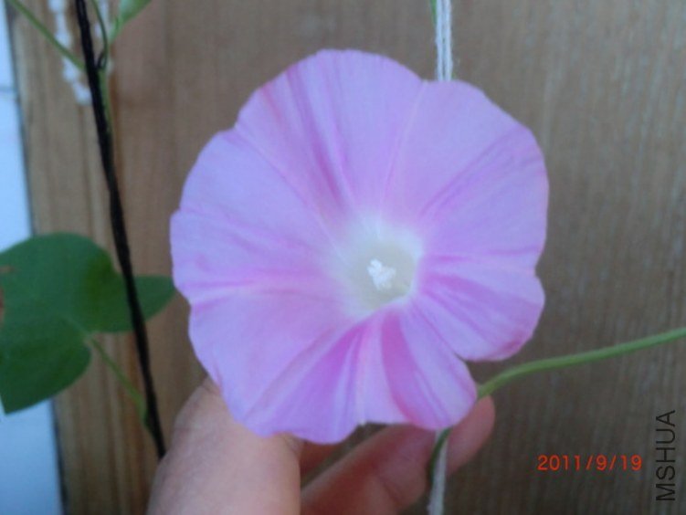 CIMG0391.JPG