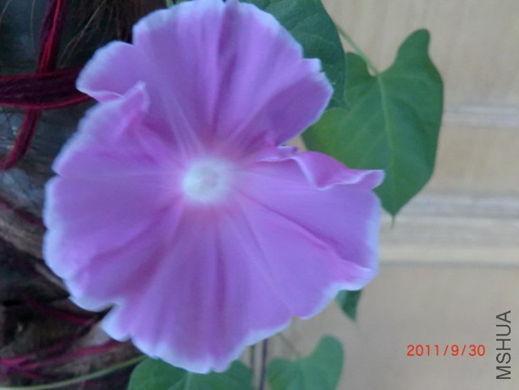 CIMG0395.JPG