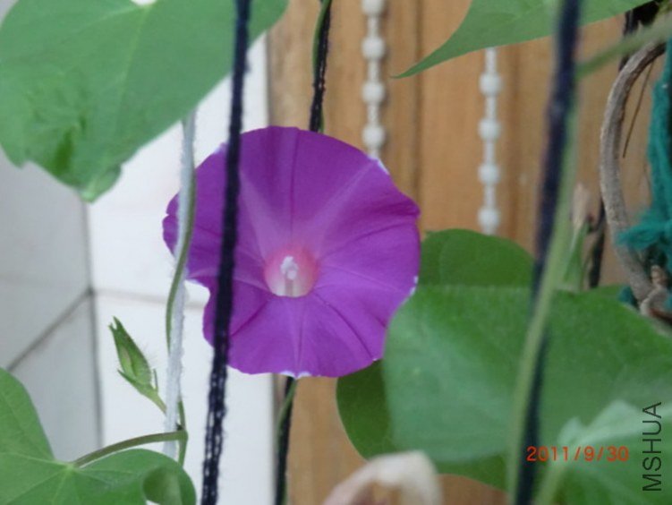 CIMG0397.JPG
