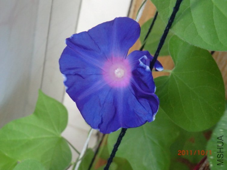 CIMG0431.JPG