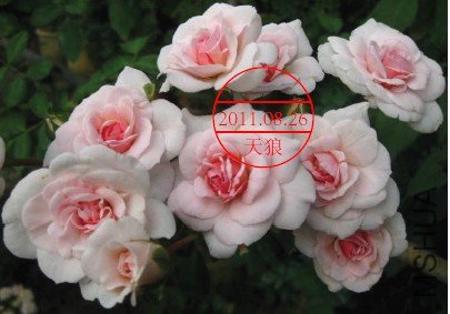 QQ��ͼδ����.jpg