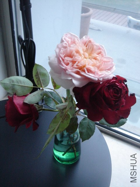 DSC03986.JPG