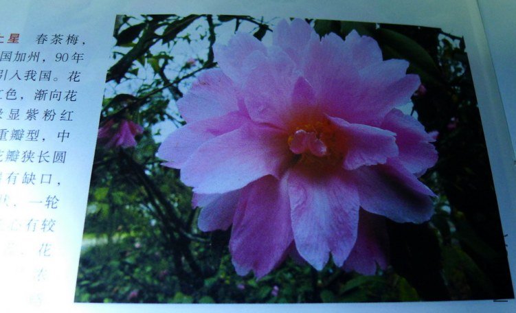 ���߼�������ͼƬ