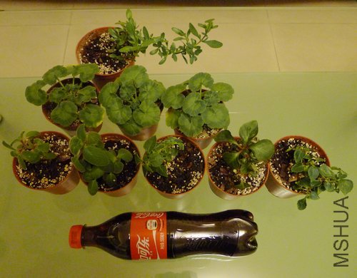 P1020118.jpg