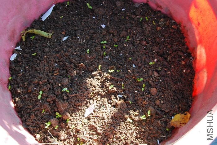 nEO_IMG_��Ƭ 1297.jpg