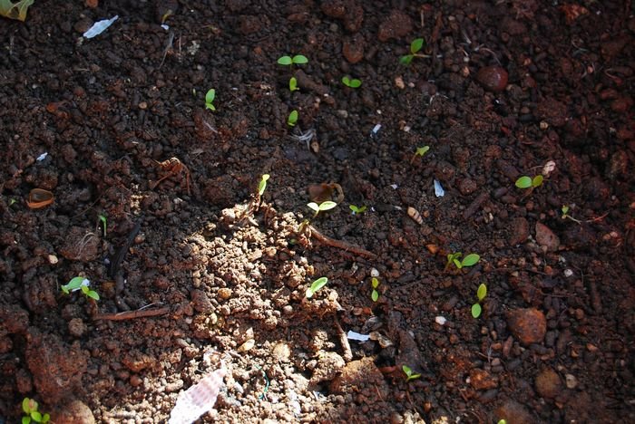 nEO_IMG_��Ƭ 1298.jpg