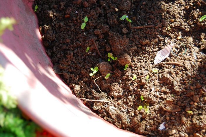 nEO_IMG_��Ƭ 1299.jpg