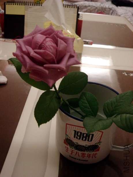 DSC08183.jpg