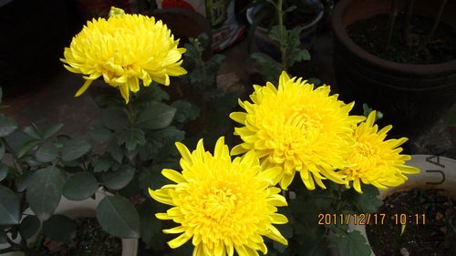 IMG_1727_������С.jpg