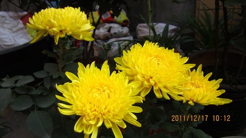 IMG_1728_������С.jpg
