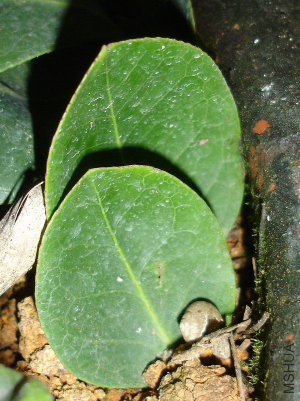 DSC083010.jpg